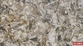 Кварцевый агломерат Silestone PACIFIC полированная 20 мм